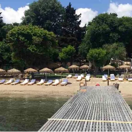 E & G- Figareto 4 * コルフ島