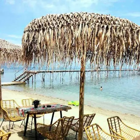 E & G- Figareto 4 アパート